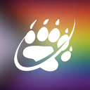 bearwww app image