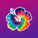 Fluster app image
