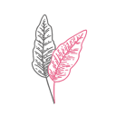 Herbstblatt app image