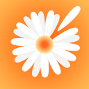 Ramonka app image