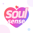 SoulSense app image