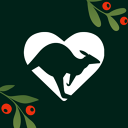Steley app image