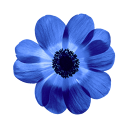 Sukker app image