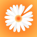 Ramonka app image
