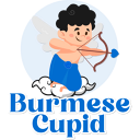 Burmese Cupid