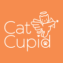 Cat Cupid
