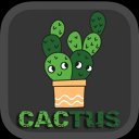 Cactus Match