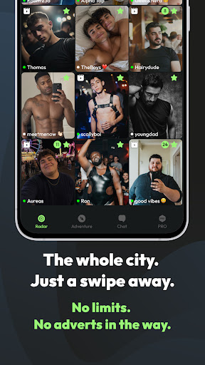 BUDDY screenshot