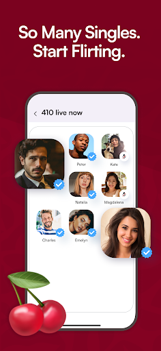 CSL screenshot