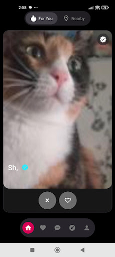 Dating IL screenshot
