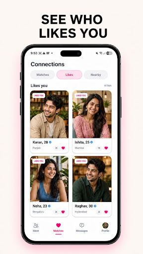 Dilset screenshot