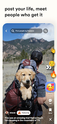 Find preview