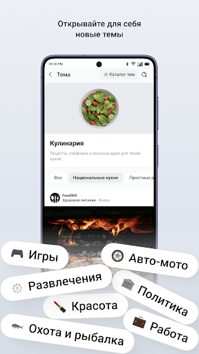 Mirtesen screenshot