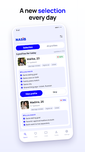 NASIB screenshot