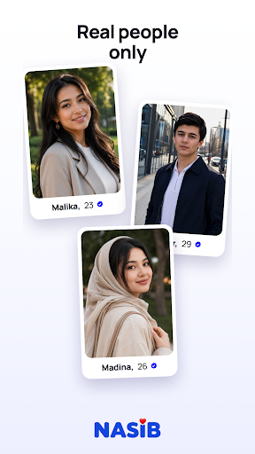 NASIB screenshot