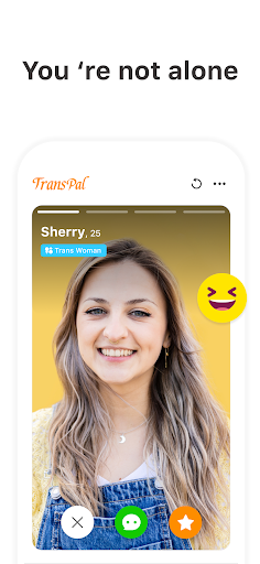 Transpal preview