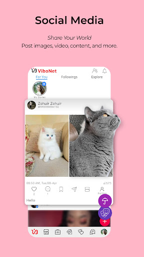 ViboNet preview