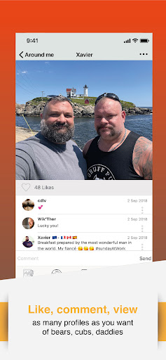 W Bear screenshot