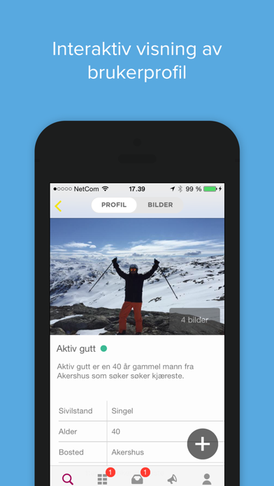 NettDating preview