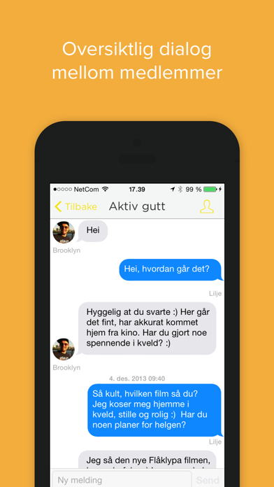 NettDating preview