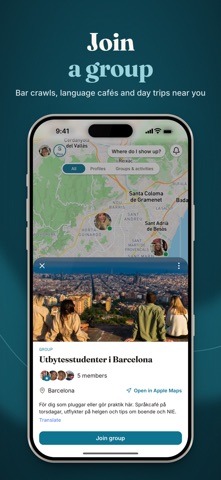 Skandineer screenshot